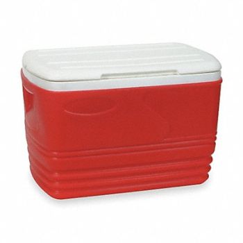 GRAINGER APPROVED Chest Cooler Hard Sided 32.0 qt., 4AAP6