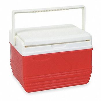 GRAINGER APPROVED Personal Cooler Hard Sided 11.6 qt., 4AAP9
