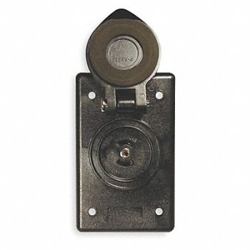 HUBBELL WIRING DEVICE-KELLEMS Outlet Marine Black, 4D417