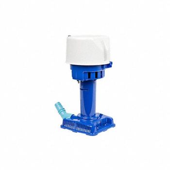 LITTLE GIANT Pump Coolant 230 V, 4NY31