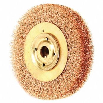 AMPCO Crimped Wire Wheel Brush 6 in 1 in W, 4RPT3