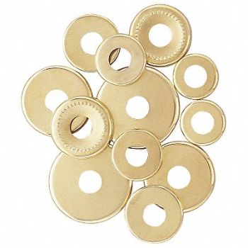 GRAINGER APPROVED Assorted Check Rings PK12, 4TGW6