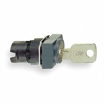 SCHNEIDER ELECTRIC Non-Illum Selector Swtch 16mm 2 Pos Keyd, 4VW57