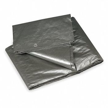 GRAINGER APPROVED Tarp Polyethylene Silver/Black 20x30Ft, 4VZ58