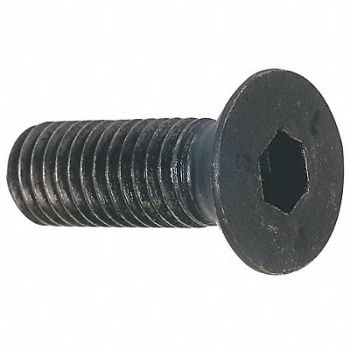 GRAINGER APPROVED ScktFltHdScrw SS M8-1.25 35mm L PK5, 6DV75