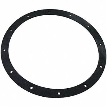 BALDWIN FILTERS Sponge Gasket Gasket G145-AF, 4YXF9