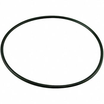 BALDWIN FILTERS Buna N O-Ring O-Ring G206, 4YXL3