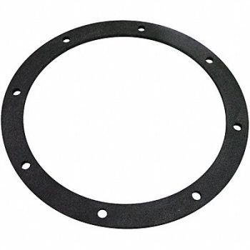 BALDWIN FILTERS Sponge Gasket Gasket G207-AF, 4YXL4