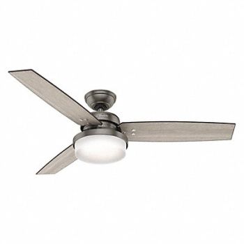 HUNTER Decorative Ceiling Fan 52 L 120VAC, 50AJ82