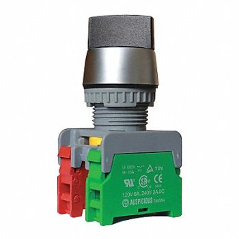 DAYTON Switch, 50PP48