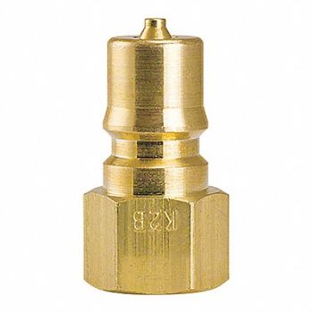 FOSTER Brass Plug 1/4 x1/4 FPT, 51TJ43