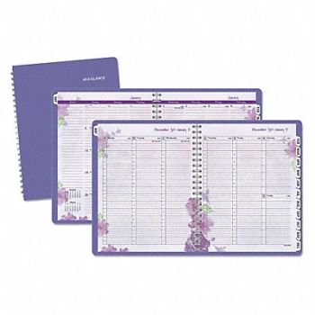 AT-A-GLANCE Appointment Book 8-1/2 x 11 Ruled, 52DP40