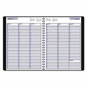 AT-A-GLANCE Appointment Book 8 x 11, 52DP77