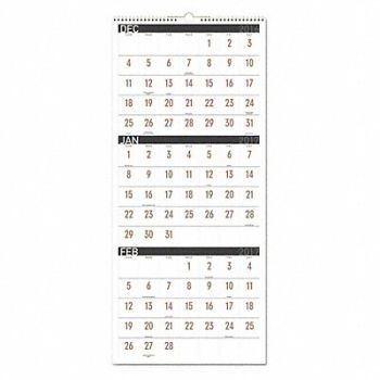 AT-A-GLANCE Wall Calendar 12 x 27-1/8, 52DP95