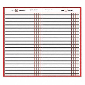 AT-A-GLANCE Planner Daily, 52DR06