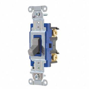 GRAINGER APPROVED Wall Switch 15A Gray 1-Pole Type Toggle, 52HE44