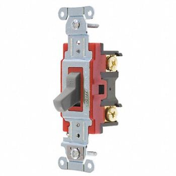 GRAINGER APPROVED Wall Switch 20A Gray 2-Pole Type Toggle, 52HE64