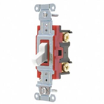 GRAINGER APPROVED Wall Switch 20A White 2-Pole Type Toggle, 52HE66