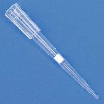 GLOBE SCIENTIFIC Filtered Pipet Tip 0.1 to 50uL PK960, 52JY06