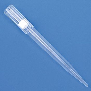 GLOBE SCIENTIFIC Filtered Pipet Tip 0.1 to 1000uL PK576, 52JY09