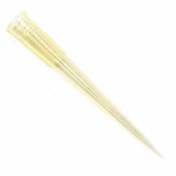 GLOBE SCIENTIFIC Pipette Tip 0.1 to 200uL Refill PK960, 52JY32