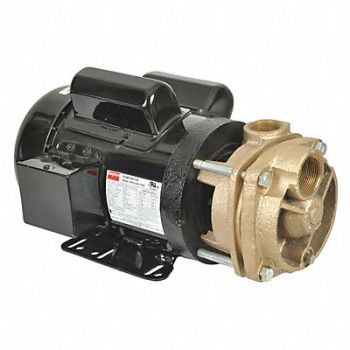 DAYTON Turbine Pump 2 HP 115 to 230V 3450 rpm, 53EC01