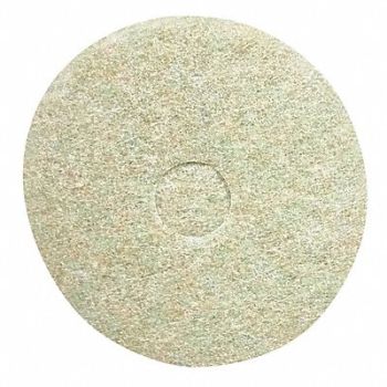 ABILITY ONE Top Line Pre-Burnishing Pad Round PK5, 54GC37
