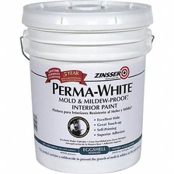 ZINSSER Interior Paint White Eggshell Finish, 54GD78