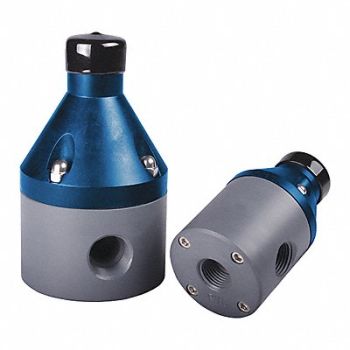 HAYWARD Pressure Valve 3/4 Pipe 250 psi PVDF, 54HT19