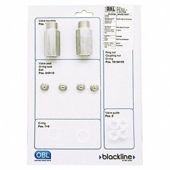BLACKLINE BY PULSAFEEDER Valve kit 3/4in 316 SS Valve Repair Kit, 54WF56