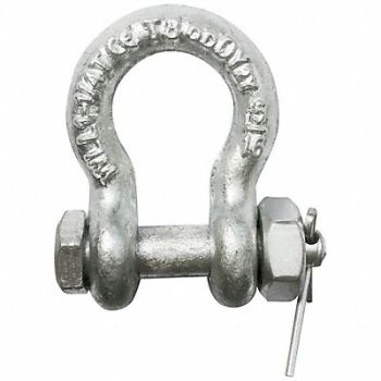 GRAINGER APPROVED Anchor Shackle Bolt Type 5/16 Body Size, 55AX95