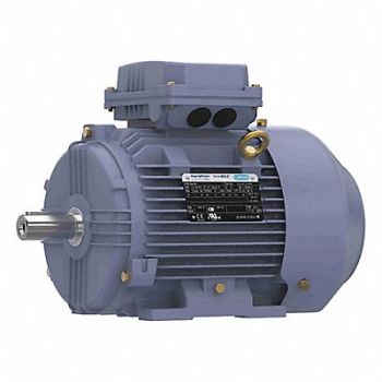 MARATHON MOTORS GP Motor 3 HP 1 770 RPM 575V AC 100L, 55AY77