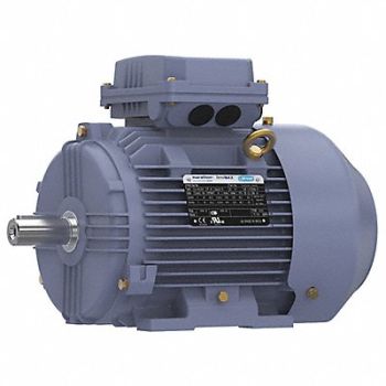 MARATHON MOTORS Metric Motor 4 HP 1 765 RPM 230/460V, 55AY78