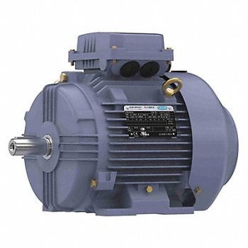 MARATHON MOTORS Metric Motor 5 1/2 HP 3 520 RPM 575V, 55AY80