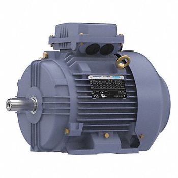 MARATHON MOTORS Metric Motor 5 1/2 HP 1 765 RPM 230/460V, 55AY81