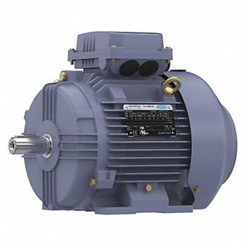 MARATHON MOTORS Metric Motor 5 1/2 HP 1 765 RPM 575V, 55AY82