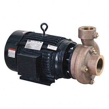 DAYTON Centrifugal Pump 3 Ph 230/460VAC, 55JJ60