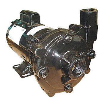DAYTON Straight Centrifugal High Head Pump 1 HP, 55JJ74