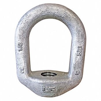 CROSBY Eye Nut HDGal Stl 3/4 3in 1PK, 55KF40