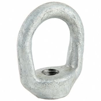 CROSBY Eye Nut HDGal Stl 3/8 1.62in 1PK, 55KF37