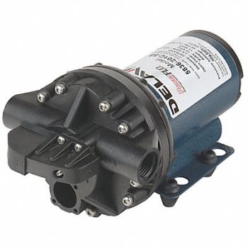 DELAVAN AG PUMPS Diaphragm Pump PolyP 5Cmb 3.6gpm 45psi, 55NL27