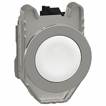SCHNEIDER ELECTRIC Push Button 30mm Momentary, 55WG54