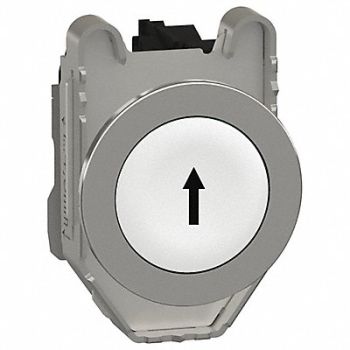 SCHNEIDER ELECTRIC Push Button 30mm Momentary, 55WG56