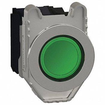 SCHNEIDER ELECTRIC Push Button 30mm Momentary Action, 55WG85