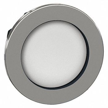 SCHNEIDER ELECTRIC Pushbutton Head White 30mm, 55WH29