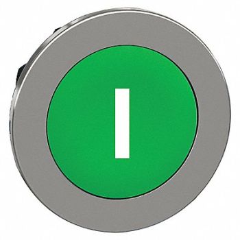 SCHNEIDER ELECTRIC Pushbutton Head Green White 30mm, 55WH36