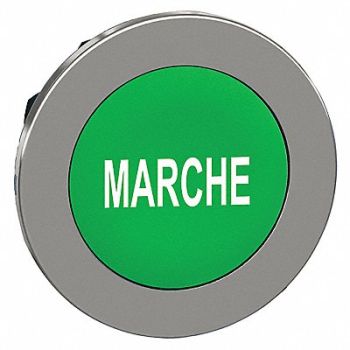 SCHNEIDER ELECTRIC Pushbutton Head Green White 30mm, 55WH40