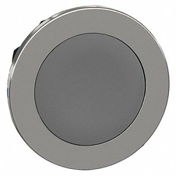 SCHNEIDER ELECTRIC Pushbutton Head Gray 30mm, 55WH53