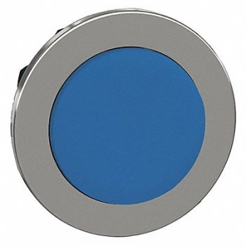 SCHNEIDER ELECTRIC Push Button Head Maintained Push Action, 55WH99