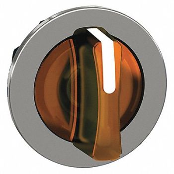 SCHNEIDER ELECTRIC Head for Selector Switch 30mm Sz LED, 55WJ20